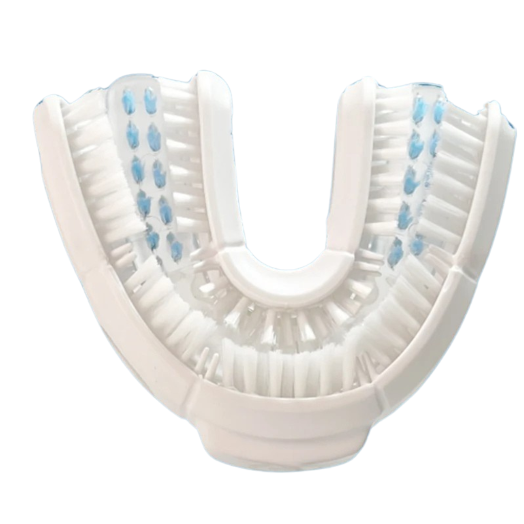 Brushido Bürstenkopf