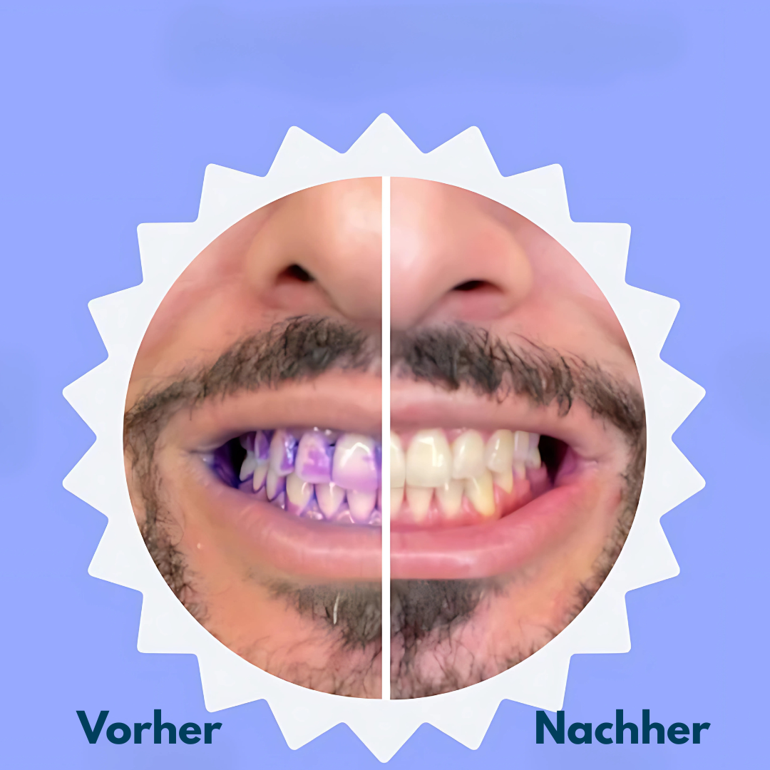 Brushido Bürstenkopf